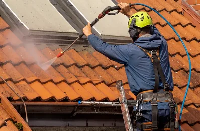 Démoussage et hydrofuge de toiture à Cumont